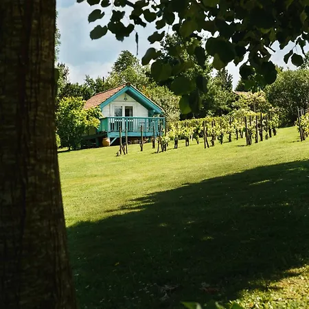 Maison Piscine Jardin Calme Proche Biarritz Plage Et Golfs