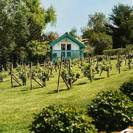 Maison Piscine Jardin Calme Proche Biarritz Plage Et Golfs בית נופש